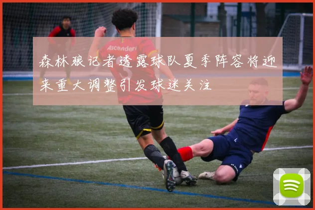森林狼记者透露球队夏季阵容将迎来重大调整引发球迷关注
